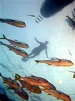 Yacht Charter in The Bahamas