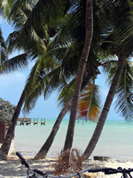 Florida and Key West