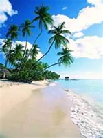 The Caribbean and The Grenadines